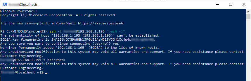 SSH Terminal