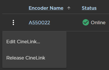 CineLink Encoder Options