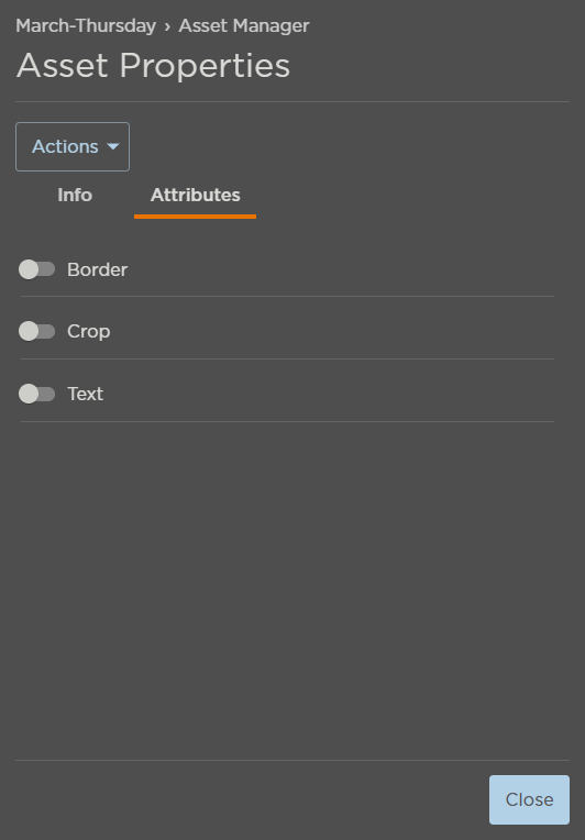 Attributes Tab