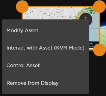 Web Asset Options