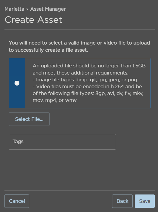 Select File Asset