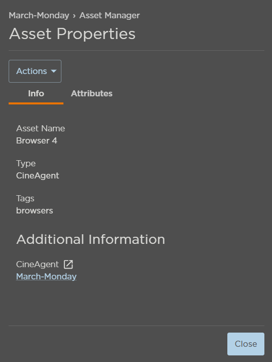Asset Info Tab